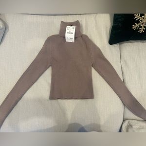 Zara turtleneck cropped sweater